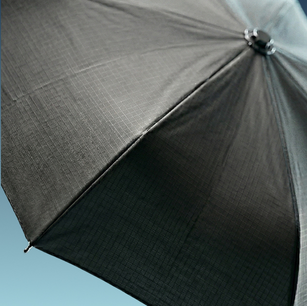 Regulatory umbrella services.